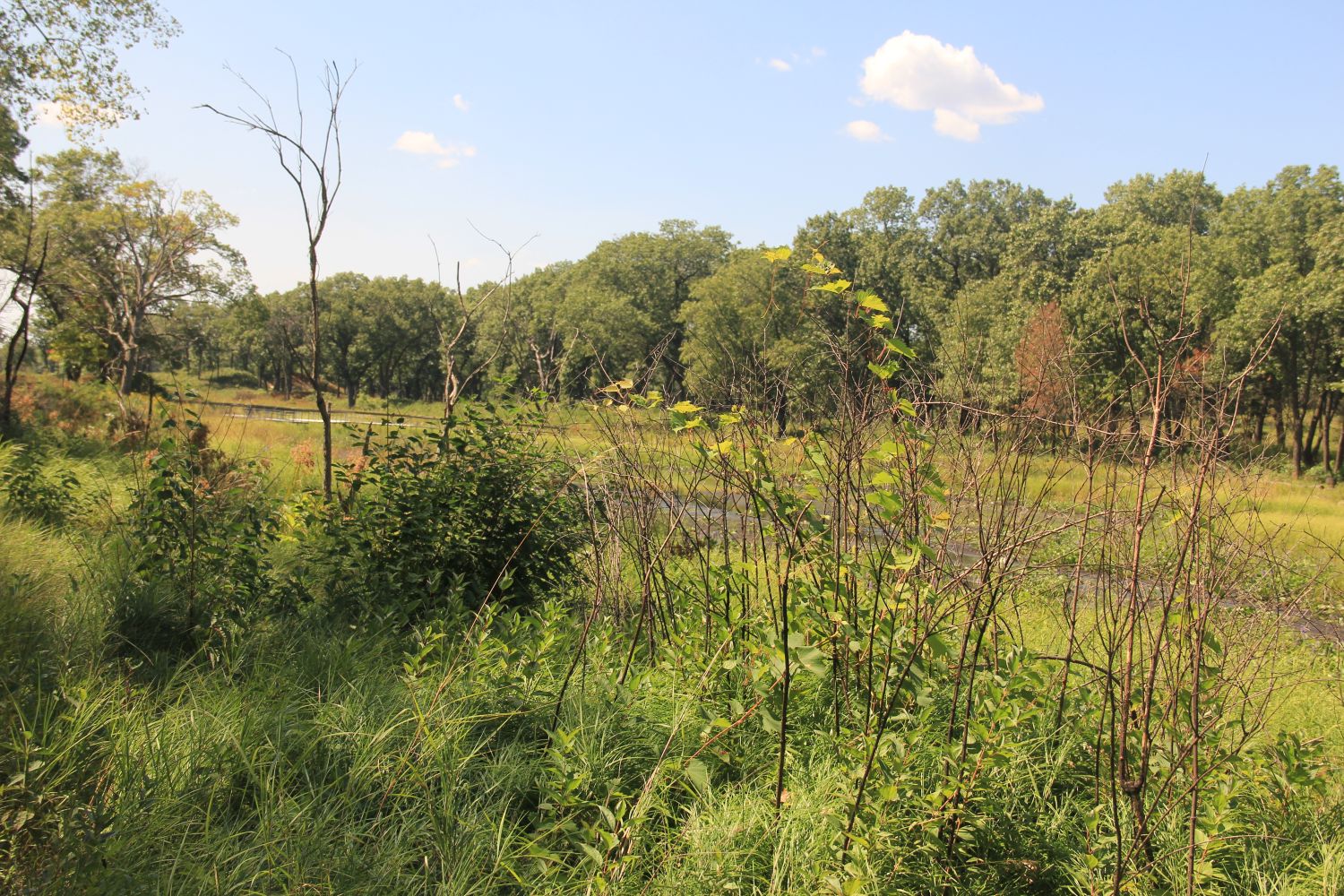 Ranger Led Miller Woods Hike 